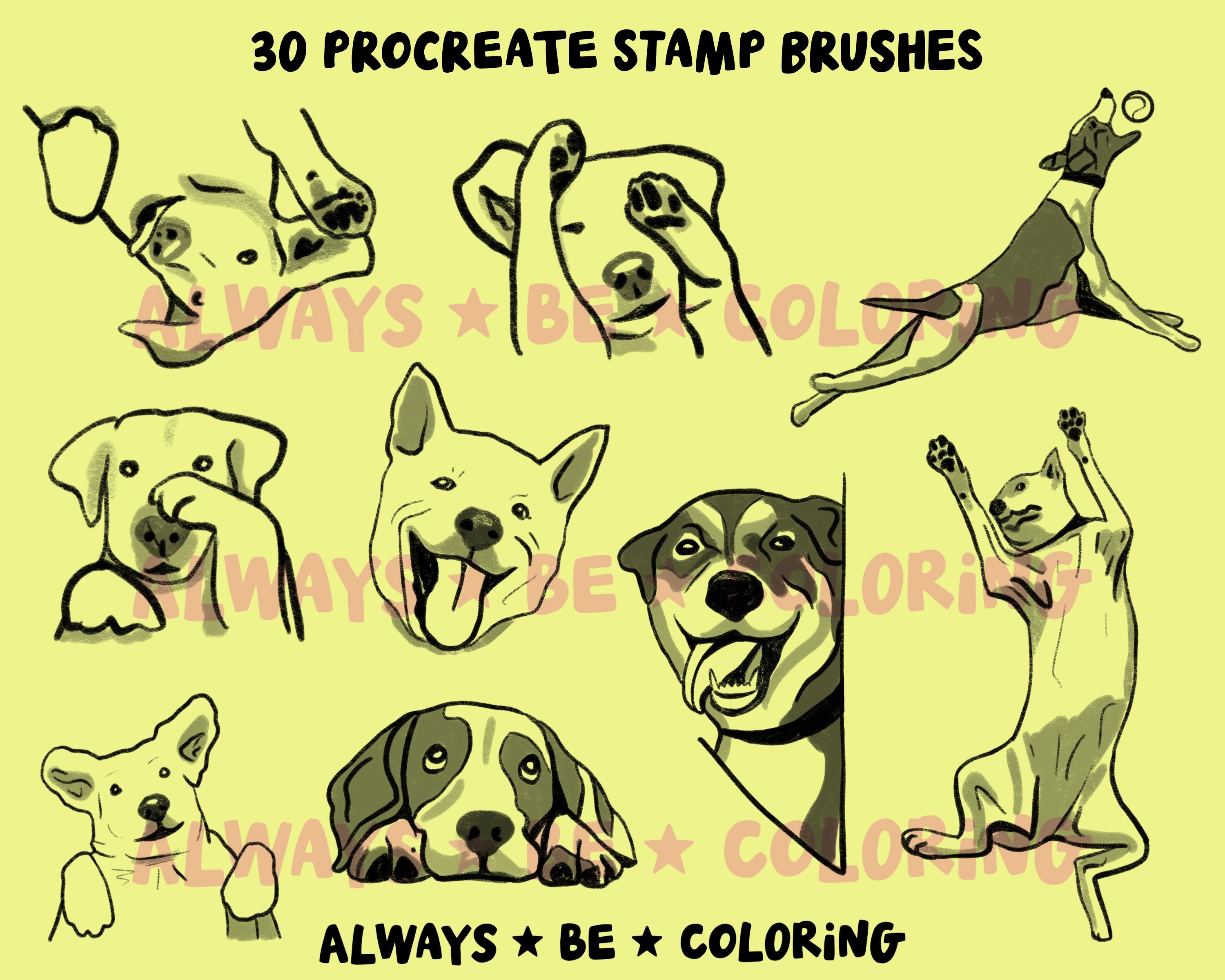 Procreate Lab Dog Procreate Dynamic Dog Stamp Set plus transparent PNGs