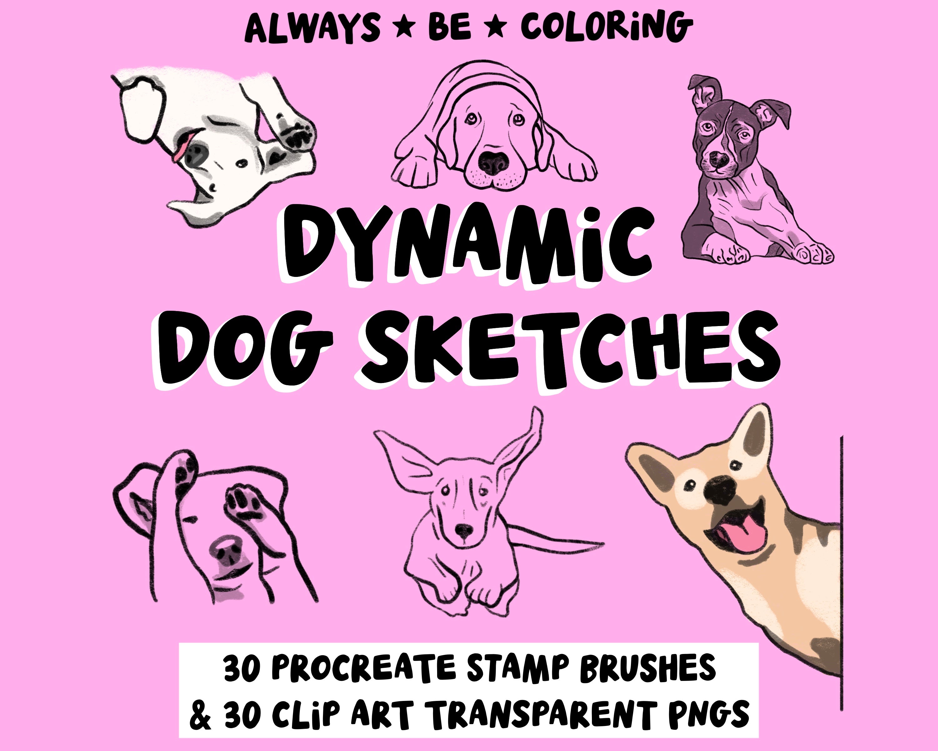 Procreate Lab Dog Procreate Dynamic Dog Stamp Set plus transparent PNGs