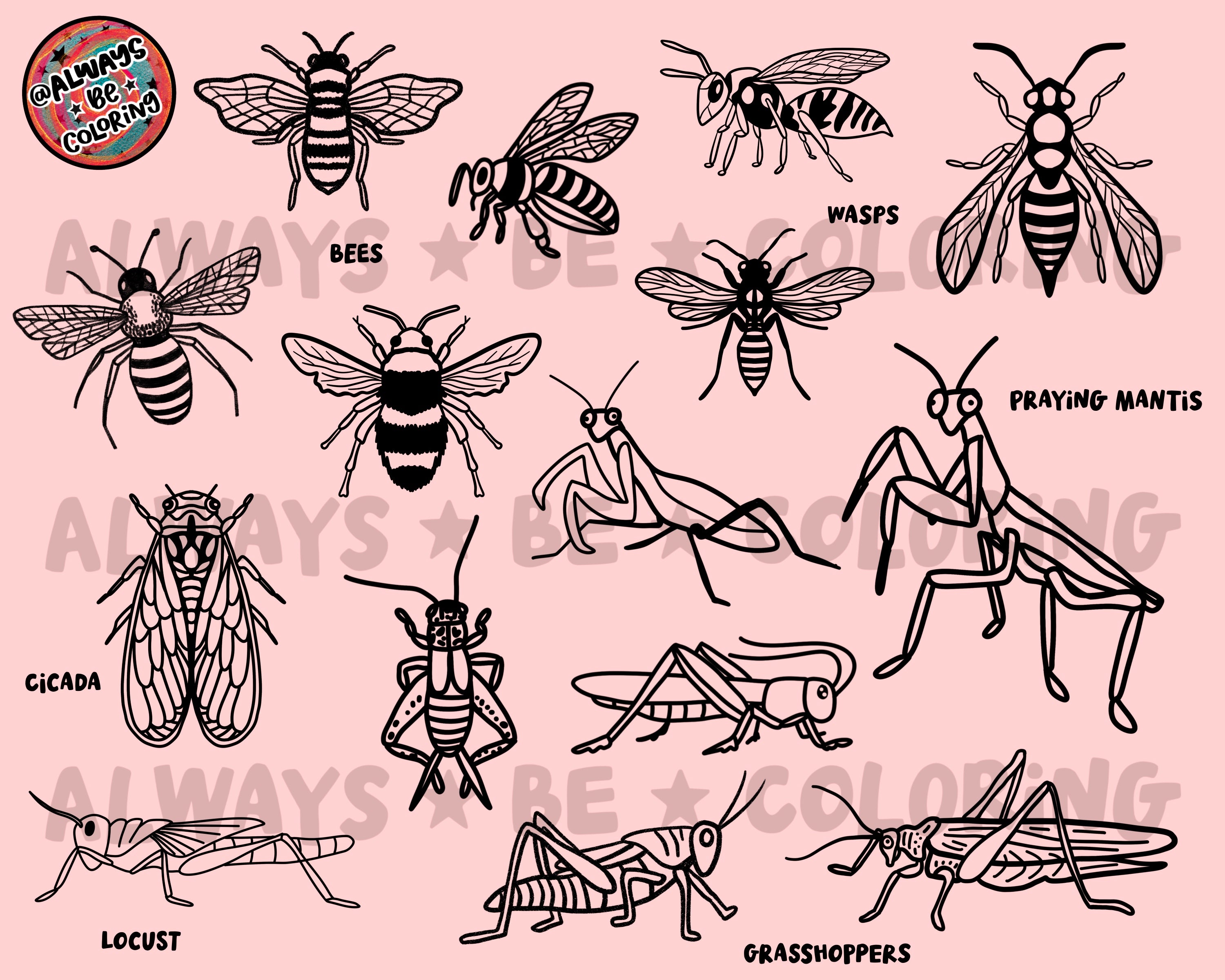 Premates Insects Procreate Insects Stamp Brush Set