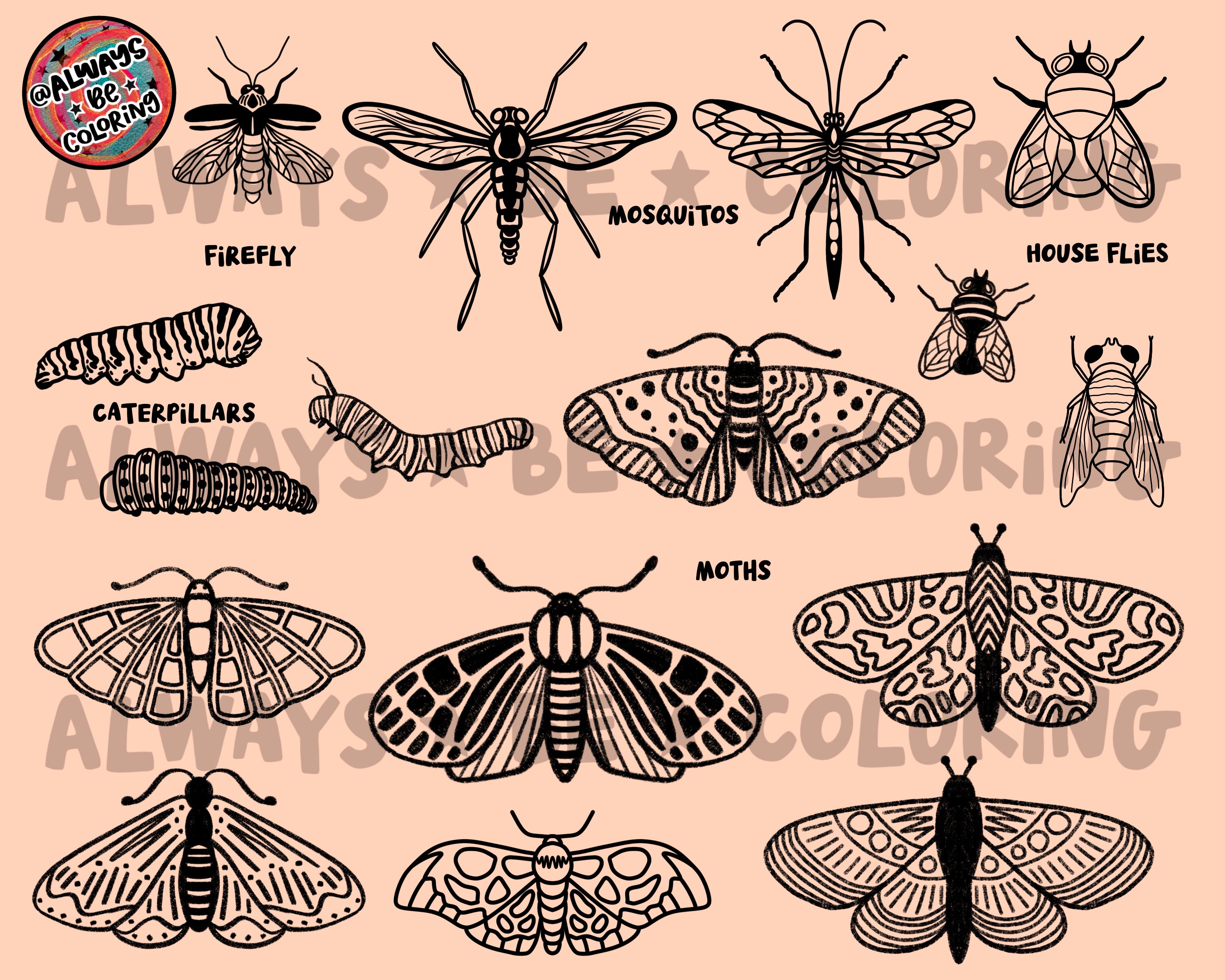 Premates Insects Procreate Insects Stamp Brush Set