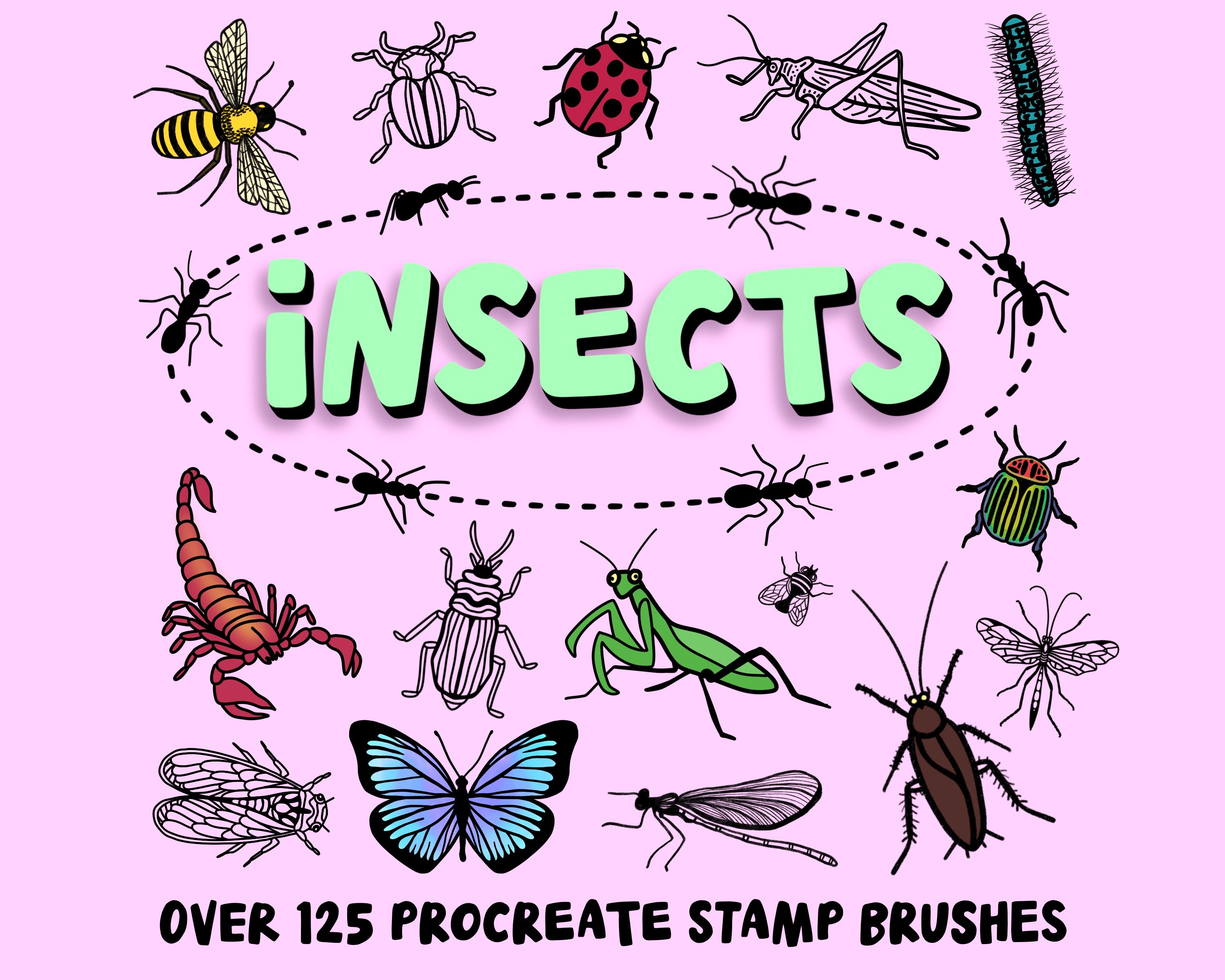 Premates Insects Procreate Insects Stamp Brush Set
